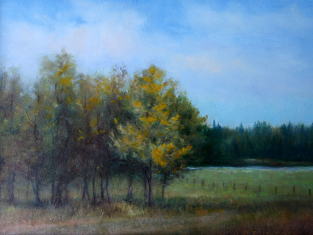 Autumn Aspen Grove